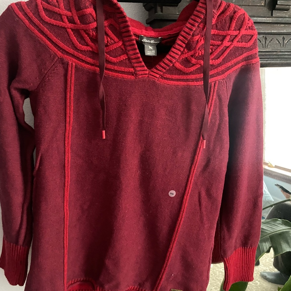 Shasta Hoodie In Scarlet Eddie Bauer - Picture 2 of 6